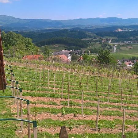 Vineyard Cottage Lustek 新梅斯托 外观 照片